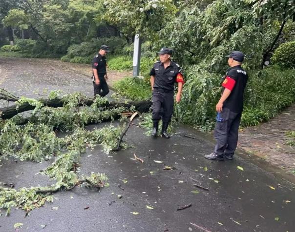C:/Users/BA/Desktop/風(fēng)雨過后南京保安迅速行動(dòng)，恢復(fù)安“寧”面貌/7.jpg7